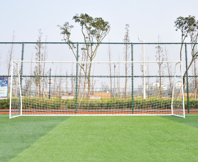 Premier Goal