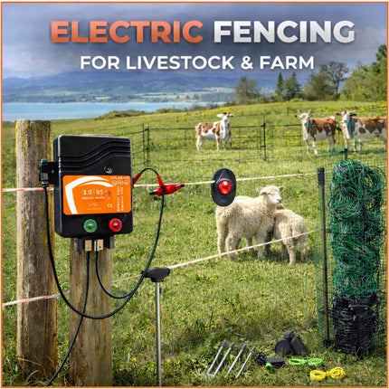 Collection image for: ⁠