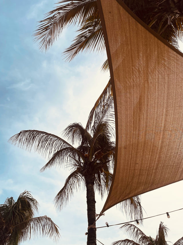 <h2>Shade That Complements Every Sky.</h2>