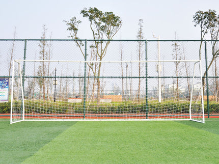 Premier Goal